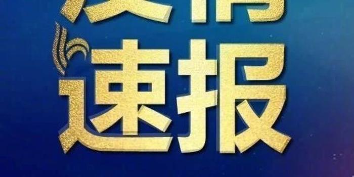 河北新增病例动态更新，持续跟进最新数据报告