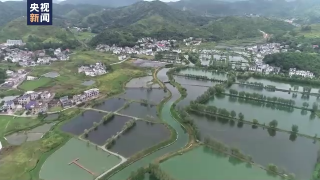 揭秘区域发展活力，宁强九龙湾最新进展报告（11月7日）