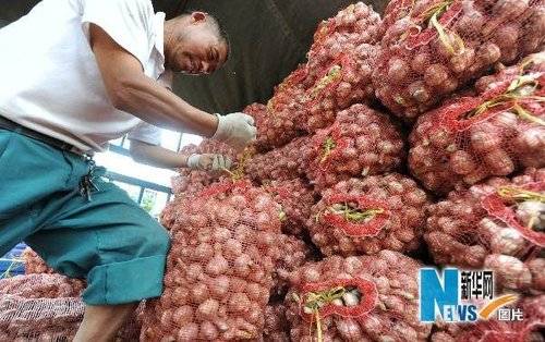 杞县大蒜市场新纪元，智能追踪系统引领大蒜价格新潮流——最新大蒜价格报告（往年1月）