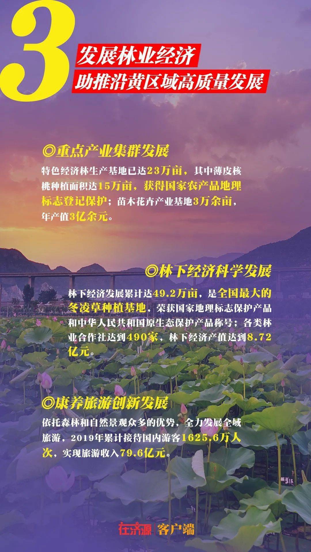 揭秘济源诈骗背后的自然美景与心灵之旅，历史上的11月14日深度剖析