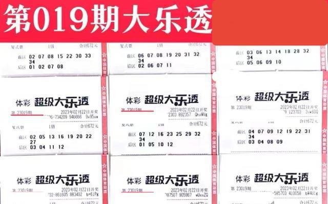 2024年11月26日 第13页