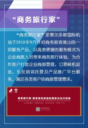 独家揭秘，全面解读11月最新拼组暗号，产品特性、体验与竞品对比一网打尽